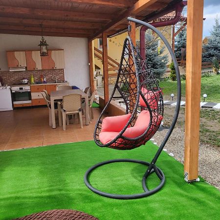 Vila Ana Cu Terasa Gratar Si Jacuzzi Vila Satu Mare Exterior foto