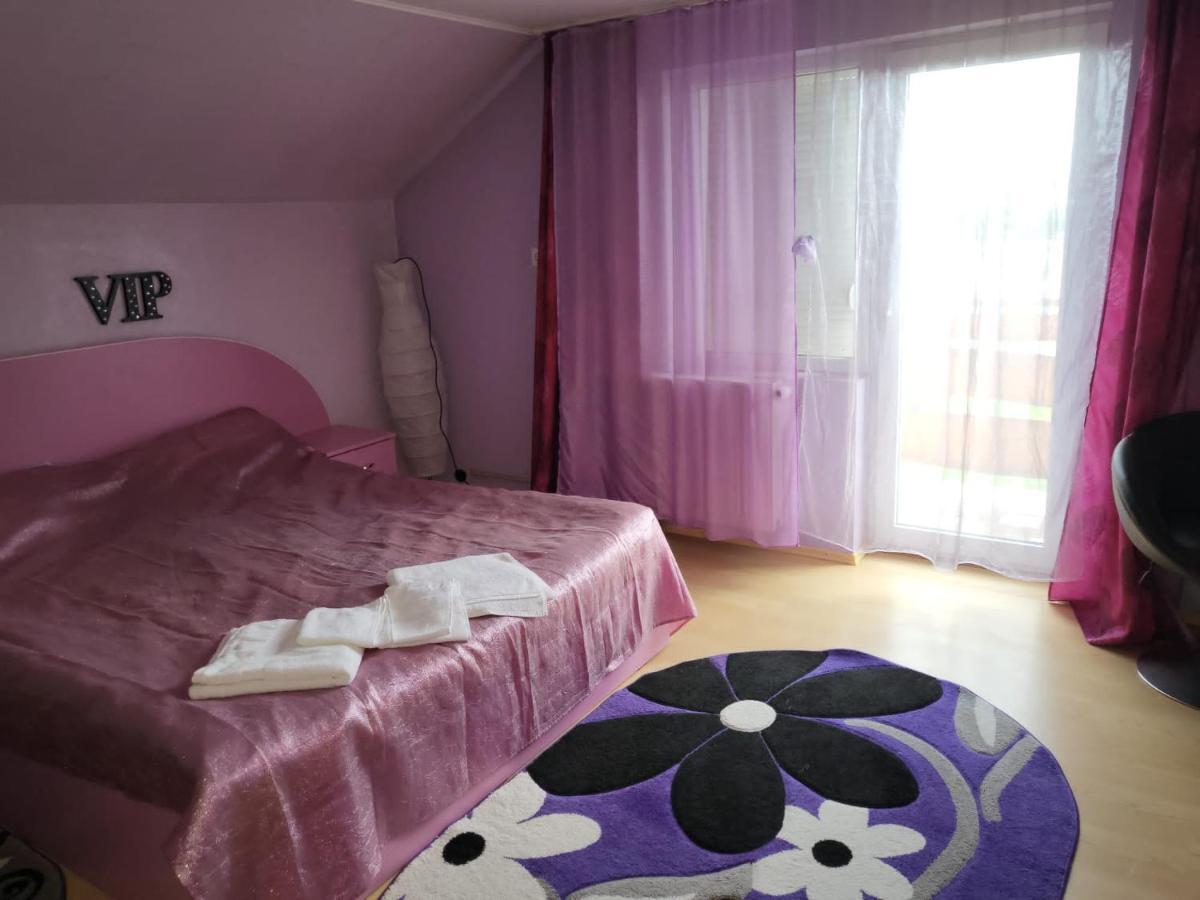Vila Ana Cu Terasa Gratar Si Jacuzzi Vila Satu Mare Exterior foto