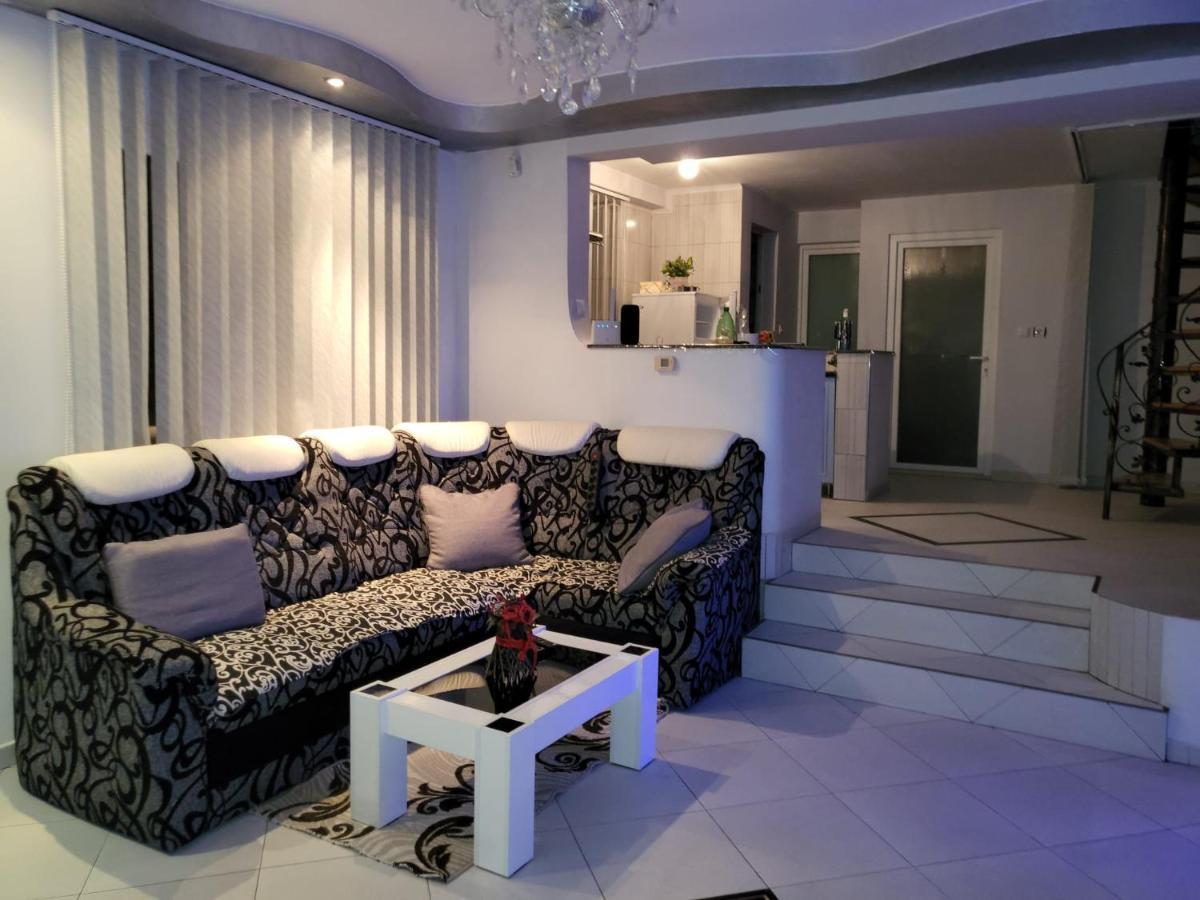 Vila Ana Cu Terasa Gratar Si Jacuzzi Vila Satu Mare Exterior foto