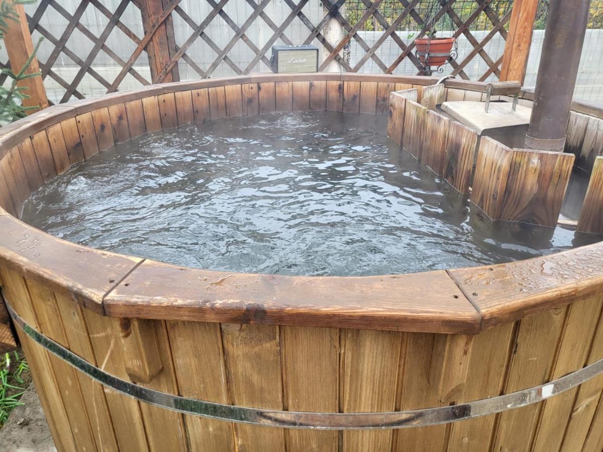 Vila Ana Cu Terasa Gratar Si Jacuzzi Vila Satu Mare Exterior foto
