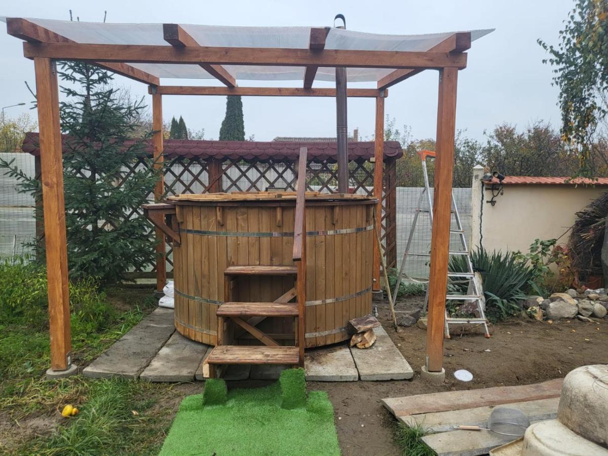 Vila Ana Cu Terasa Gratar Si Jacuzzi Vila Satu Mare Exterior foto