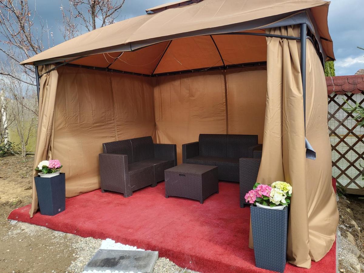 Vila Ana Cu Terasa Gratar Si Jacuzzi Vila Satu Mare Exterior foto